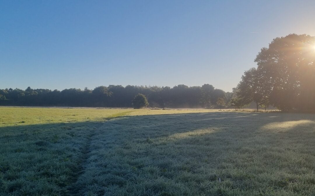 Meine To-Want-Liste für das 4. Quartal 2025